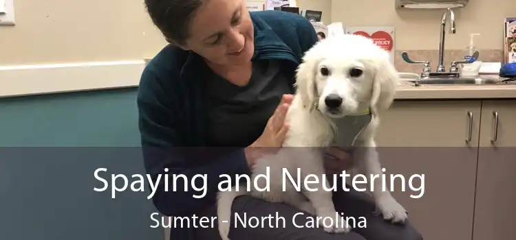 Spaying and Neutering Sumter - North Carolina