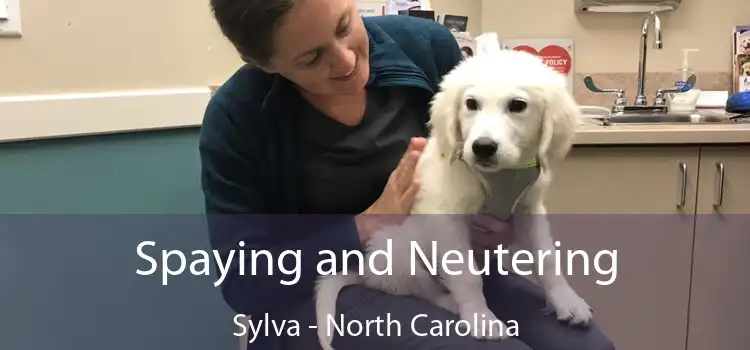 Spaying and Neutering Sylva - North Carolina