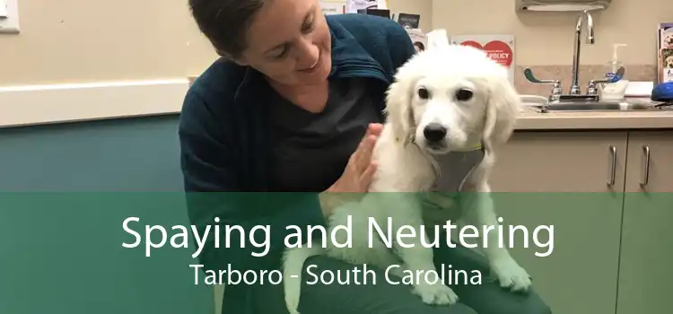 Spaying and Neutering Tarboro - South Carolina