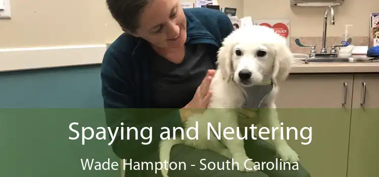 Spaying and Neutering Wade Hampton - South Carolina