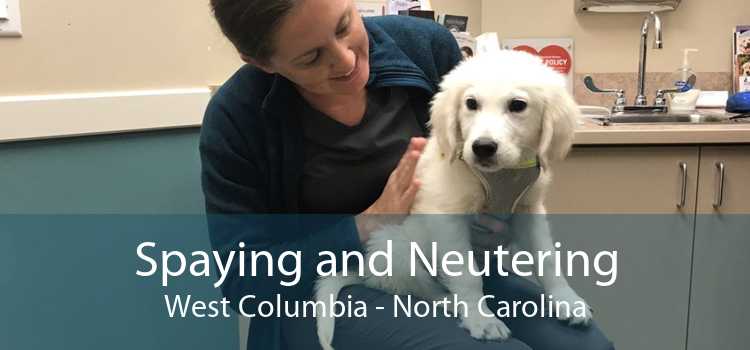 Spaying and Neutering West Columbia - North Carolina