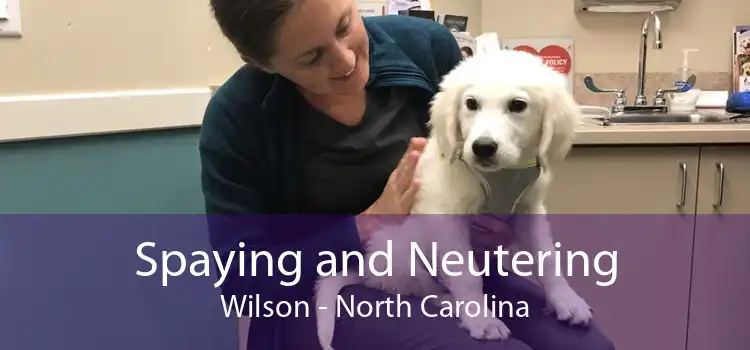 Spaying and Neutering Wilson - North Carolina