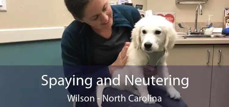 Spaying and Neutering Wilson - North Carolina