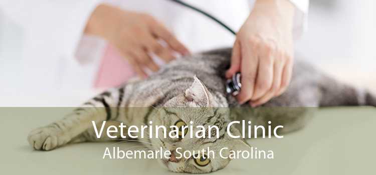 Veterinarian Clinic Albemarle South Carolina