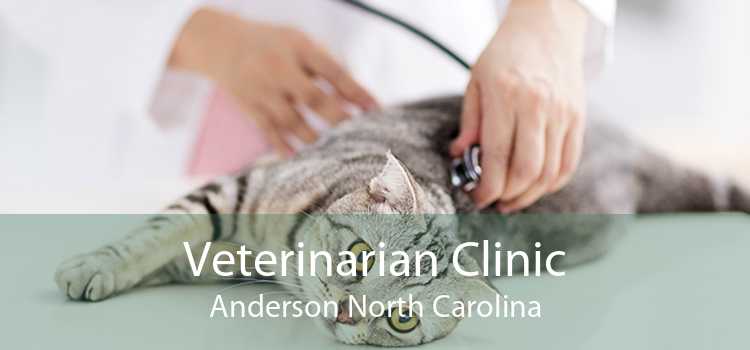 Veterinarian Clinic Anderson North Carolina