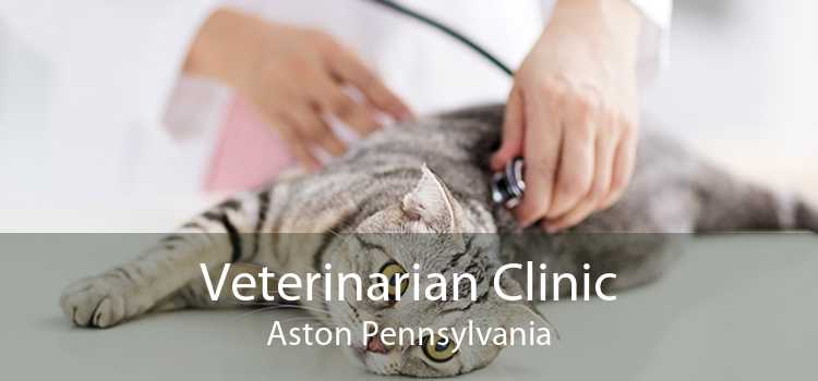Veterinarian Clinic Aston Pennsylvania