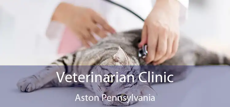 Veterinarian Clinic Aston Pennsylvania