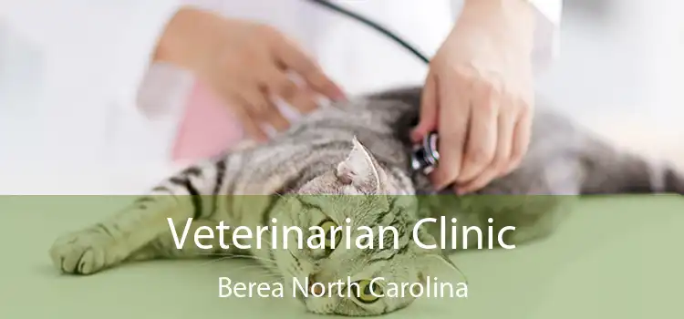 Veterinarian Clinic Berea North Carolina