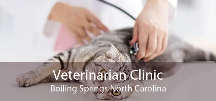 Veterinarian Clinic Boiling Springs North Carolina