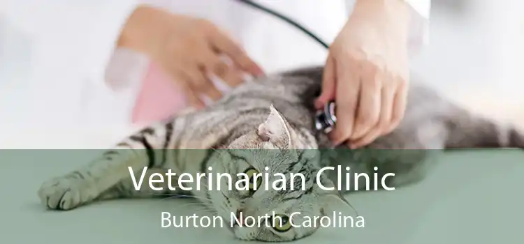 Veterinarian Clinic Burton North Carolina