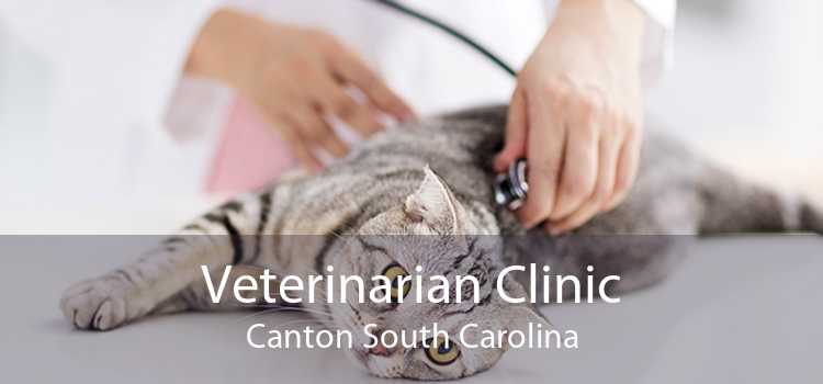 Veterinarian Clinic Canton South Carolina