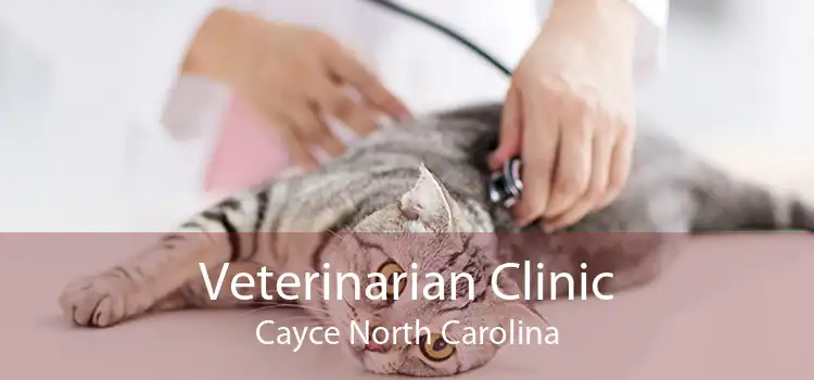 Veterinarian Clinic Cayce North Carolina
