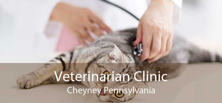 Veterinarian Clinic Cheyney Pennsylvania