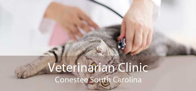 Veterinarian Clinic Conestee South Carolina
