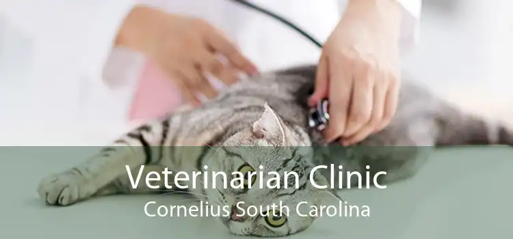 Veterinarian Clinic Cornelius South Carolina