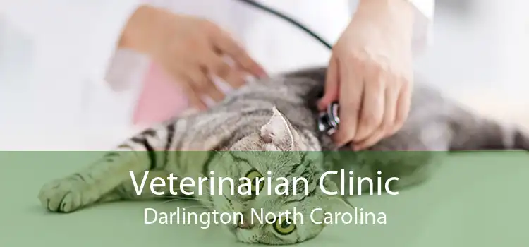 Veterinarian Clinic Darlington North Carolina