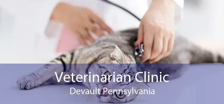 Veterinarian Clinic Devault Pennsylvania
