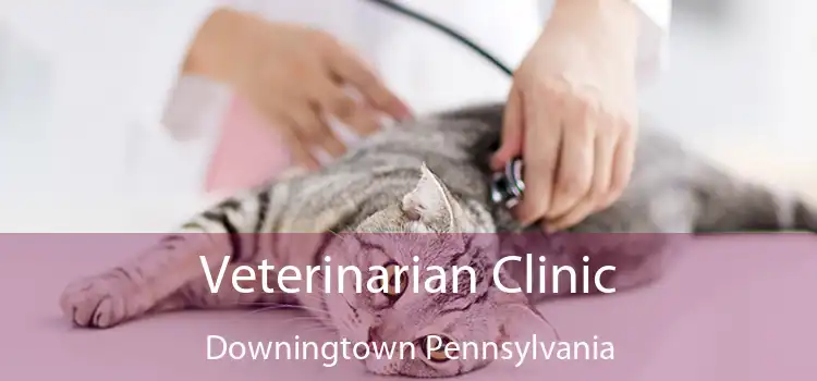 Veterinarian Clinic Downingtown Pennsylvania