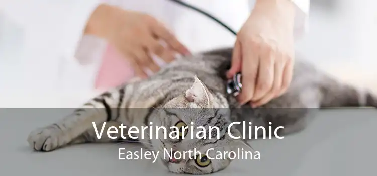 Veterinarian Clinic Easley North Carolina