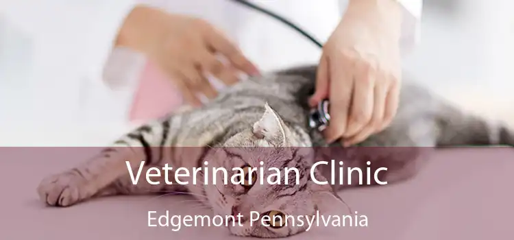 Veterinarian Clinic Edgemont Pennsylvania