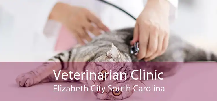 Veterinarian Clinic Elizabeth City South Carolina
