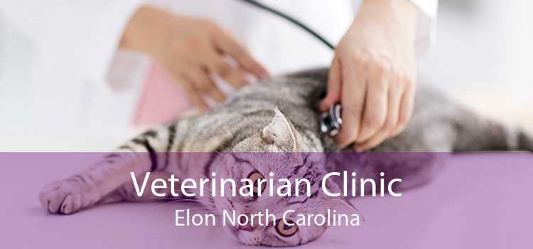 Veterinarian Clinic Elon North Carolina