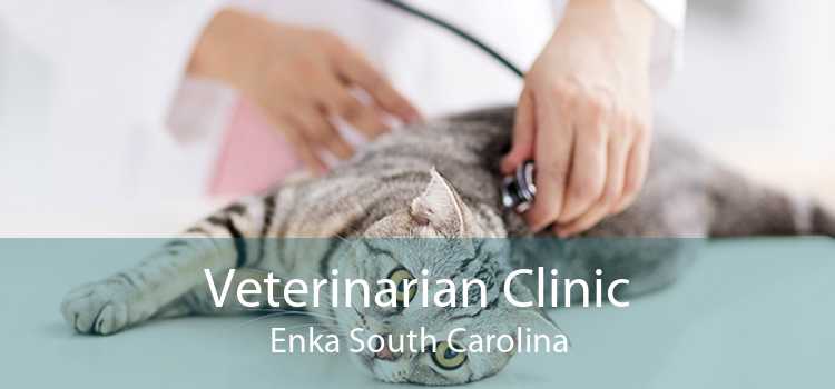 Veterinarian Clinic Enka South Carolina