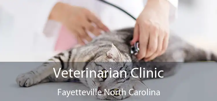 Veterinarian Clinic Fayetteville North Carolina