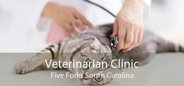 Veterinarian Clinic Five Forks South Carolina