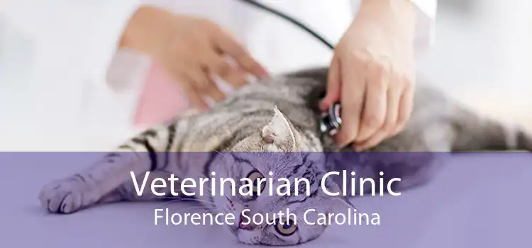 Veterinarian Clinic Florence South Carolina