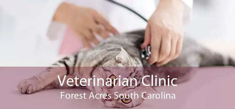 Veterinarian Clinic Forest Acres South Carolina