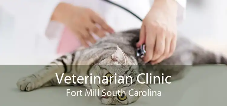 Veterinarian Clinic Fort Mill South Carolina