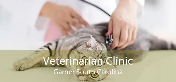 Veterinarian Clinic Garner South Carolina
