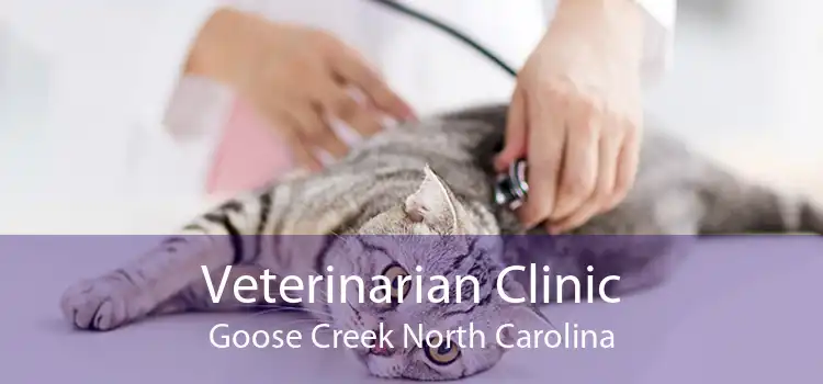 Veterinarian Clinic Goose Creek North Carolina