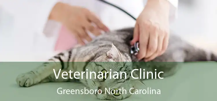 Veterinarian Clinic Greensboro North Carolina