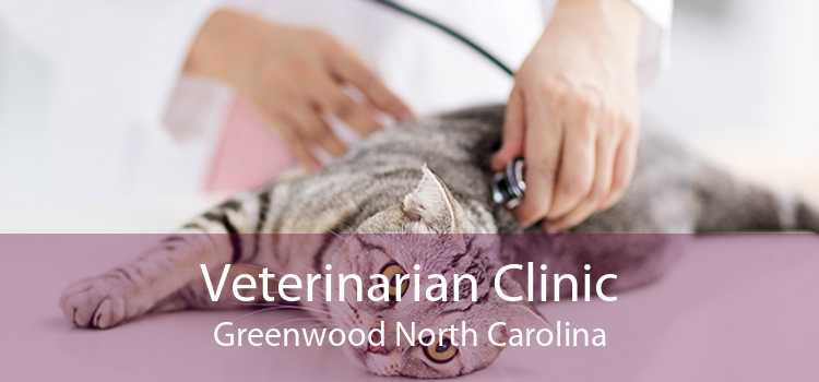 Veterinarian Clinic Greenwood North Carolina