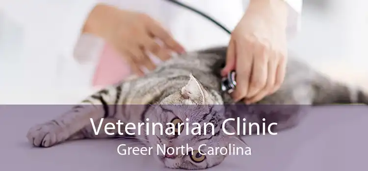 Veterinarian Clinic Greer North Carolina