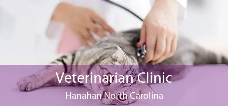 Veterinarian Clinic Hanahan North Carolina