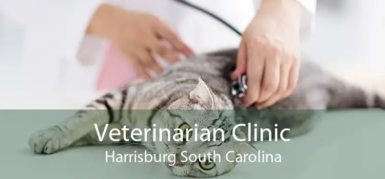 Veterinarian Clinic Harrisburg South Carolina