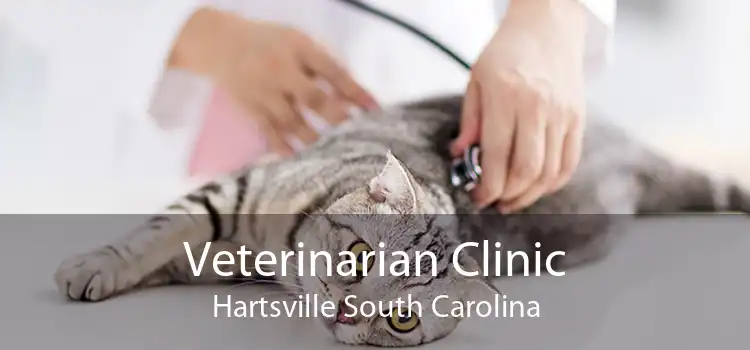Veterinarian Clinic Hartsville South Carolina