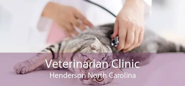 Veterinarian Clinic Henderson North Carolina