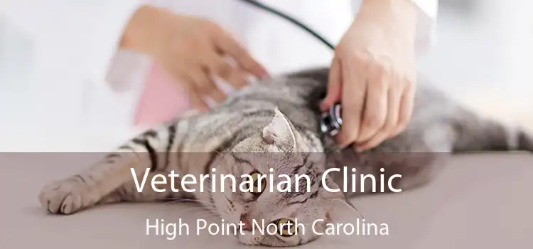 Veterinarian Clinic High Point North Carolina