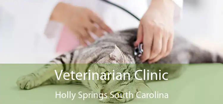 Veterinarian Clinic Holly Springs South Carolina