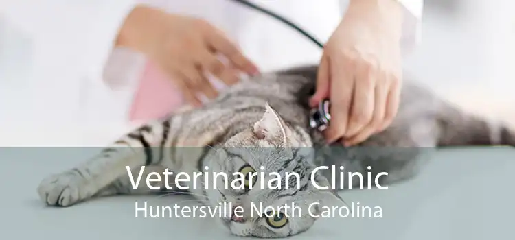 Veterinarian Clinic Huntersville North Carolina
