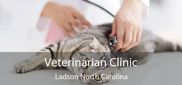 Veterinarian Clinic Ladson North Carolina