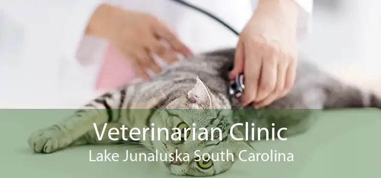 Veterinarian Clinic Lake Junaluska South Carolina