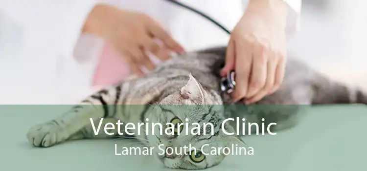 Veterinarian Clinic Lamar South Carolina