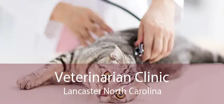 Veterinarian Clinic Lancaster North Carolina