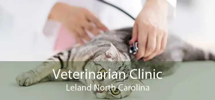 Veterinarian Clinic Leland North Carolina