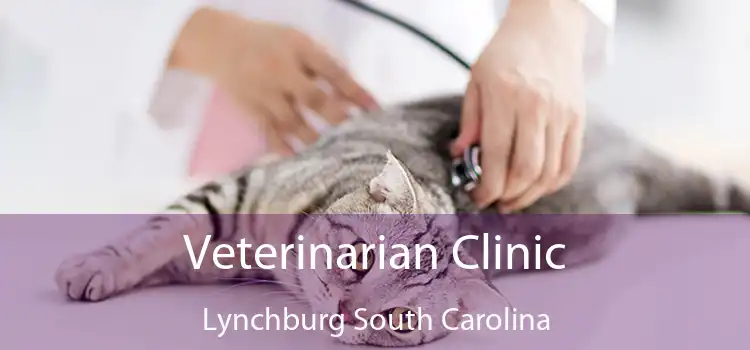 Veterinarian Clinic Lynchburg South Carolina